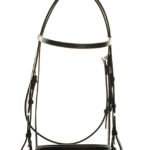 Ascot Flat Race Bridle