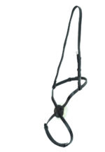 Ascot Sliding Grackle Noseband