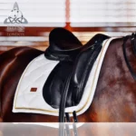 Bliss of London Paramour Dressage Saddle - Image 2