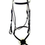 Classic Grackle Race Bridle