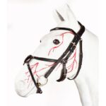 Jeffries Gentle Grackle Bridle - Premium Range