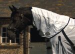 Rhinegold Fly Rug Supplied With Neck Cover + FREE FLY SPRAY - Image 2