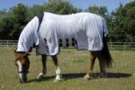 Rhinegold Sahara Full Neck Combo Fly Rug 6´3"
