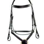 Ascot Comfort Grackle Bridle