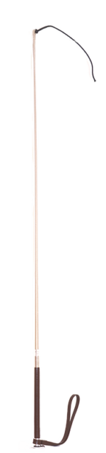 Polo Whip - Image 4