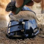 Scoot Boots Hoof Boot - Image 8