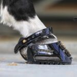 Scoot Boots Hoof Boot - Image 7